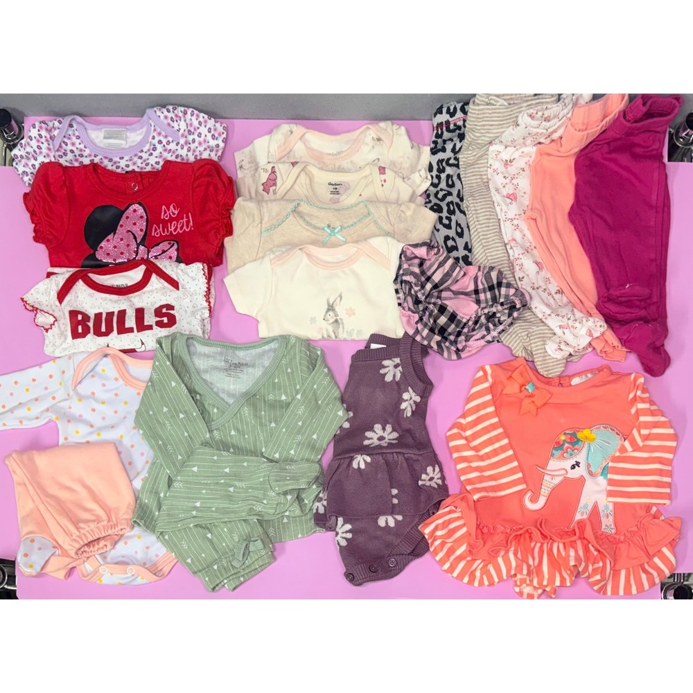 Baby Girl Clothing Lot‎ 3-6 Months Gerber Zoey and Miles Disney 15+ Piece Bundle